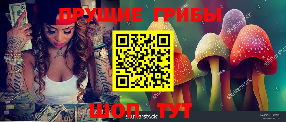 Псилоцибиновые грибы GOLDEN TEACHER Минеральные Воды